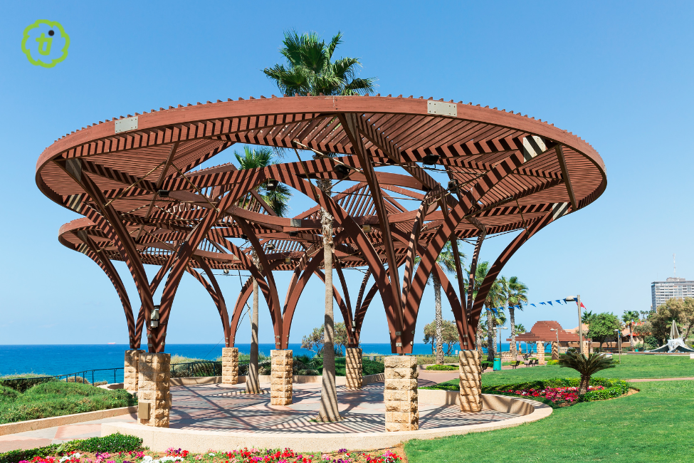 Transform Your Outdoor Space With A Wooden Pergola
